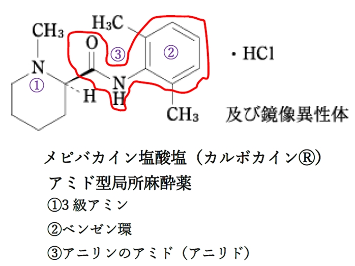 局所麻酔薬の構造の特徴 薬学化学